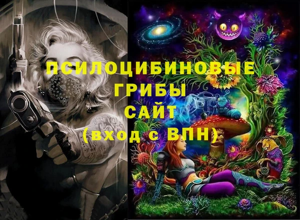 крисы Арсеньев