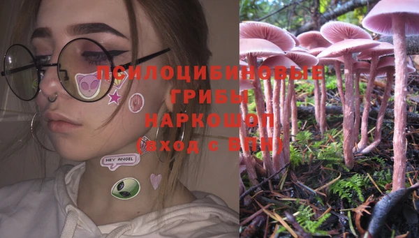 дурь Россошь