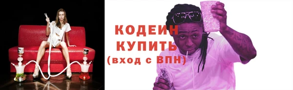 гашик Кулебаки